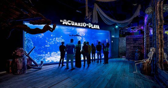 el SAYAB Planetario de Playa del Carmen